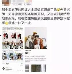 网红黑料视频 社会热点事件视频,视频背后的真相与反思