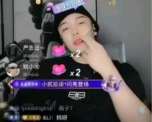 网红黑料视频 社会热点事件视频,视频背后的真相与反思