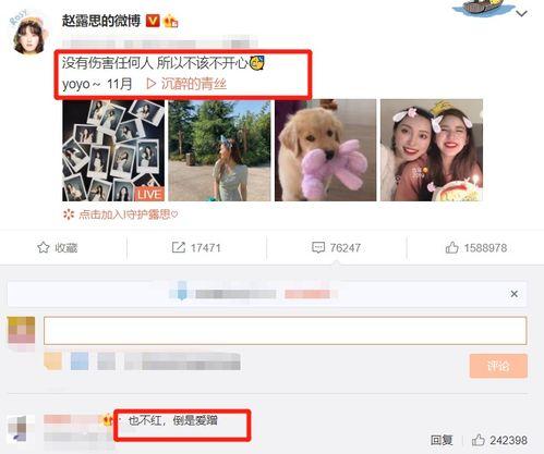 吃瓜视频在线观看全集 赵露思图片,甜蜜瞬间与搞笑片段大集合